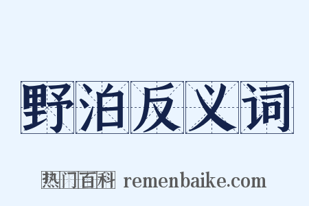 野泊反义词是什么意思的图片